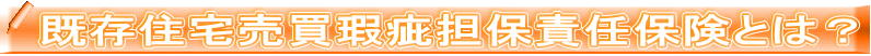 既存住宅売買瑕疵担保責任保険とは?