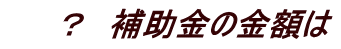 ? 補助金の金額は