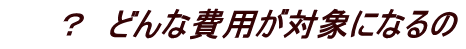 ? どんな費用が対象になるの